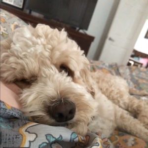 Meet your Posher, Stacey